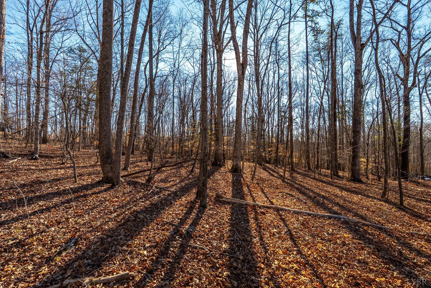 8-lot Cottage Charm Goode, VA 24556 - Photo 56 of 58 a view of a backyard of the house