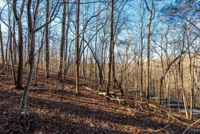 $350,000 | 8-lot Cottage Charm, Goode, VA 24556