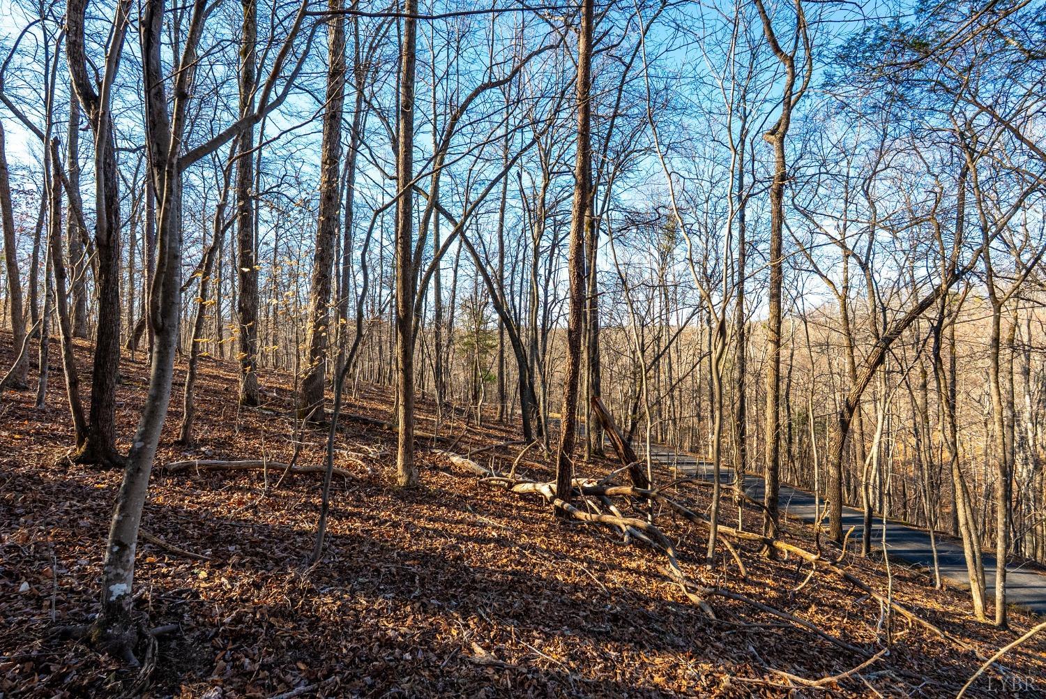 8-lot Cottage Charm Goode, VA 24556 - Photo 57 of 58 a backyard of a house with lots of green space