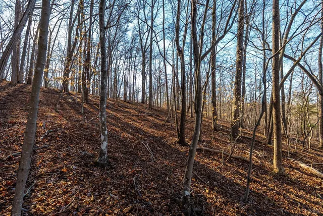 $350,000 | 8-lot Cottage Charm, Goode, VA 24556