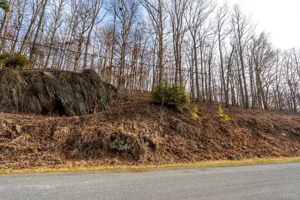 a view of a backyard of the house