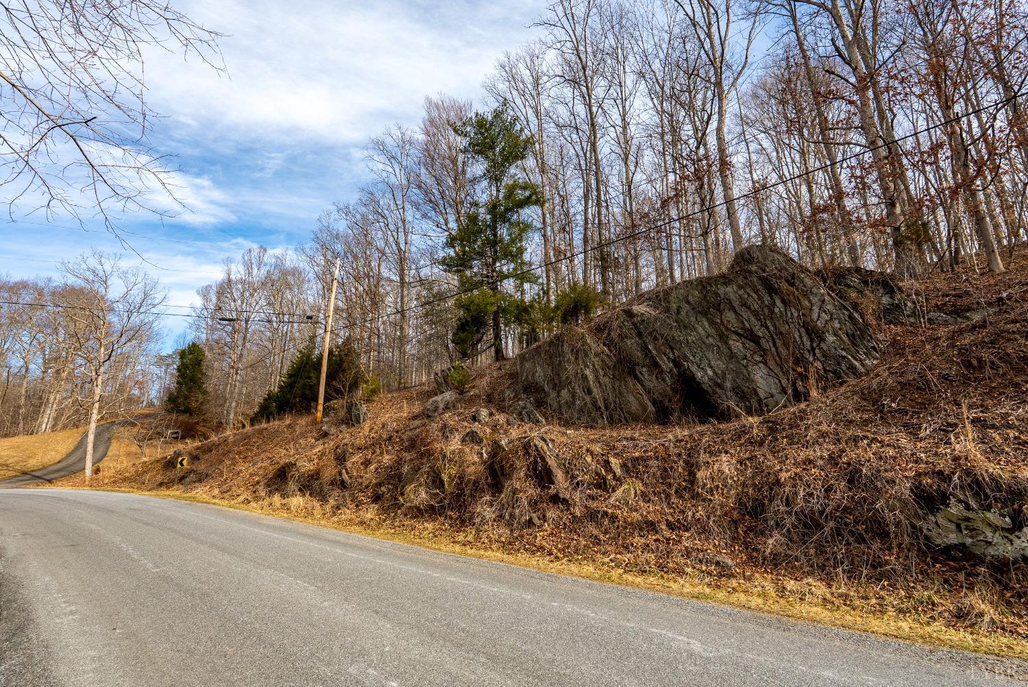 8-lot Cottage Charm Goode, VA 24556 - Photo 7 of 58 a view of a backyard of the house