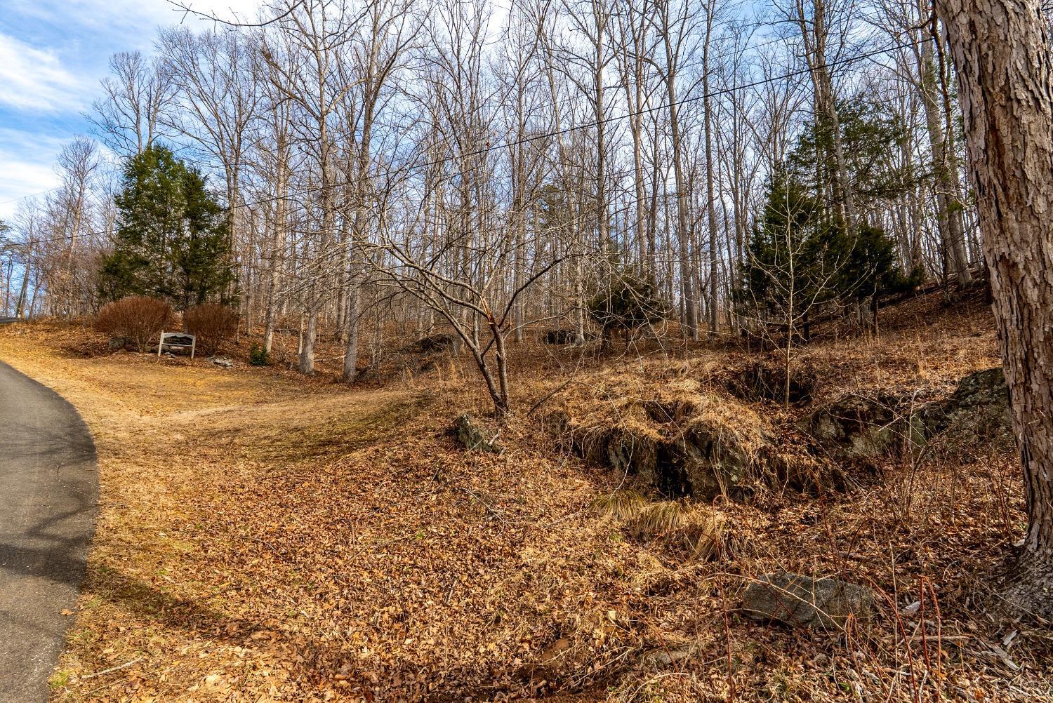 8-lot Cottage Charm Goode, VA 24556 - Photo 8 of 58 a backyard of a house with large trees