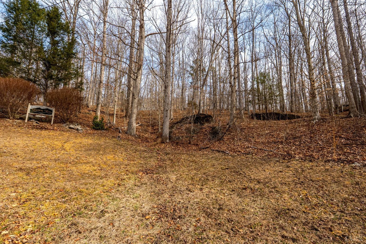8-lot Cottage Charm Goode, VA 24556 - Photo 9 of 58 a backyard of a house with lawn chairs and wooden fence