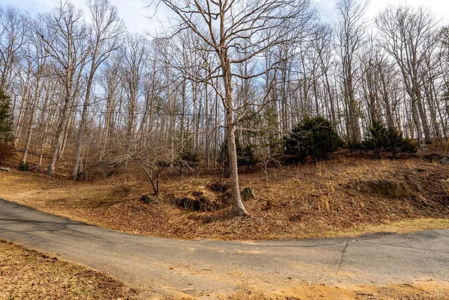 a view of a backyard of the house