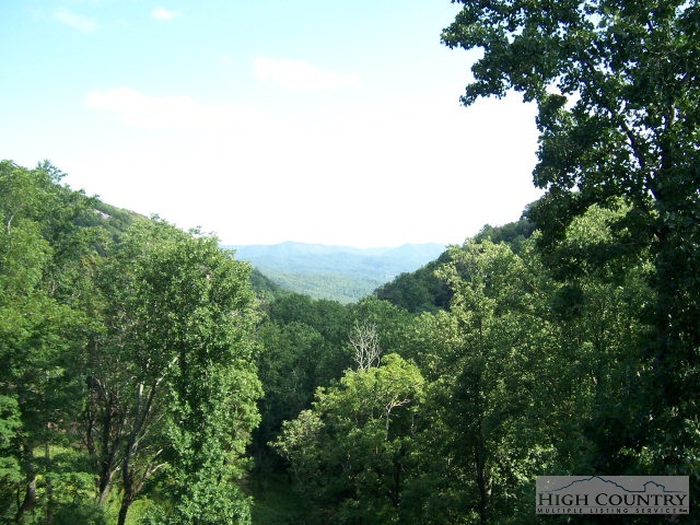 268 Old Megs Lane Boone, NC 28607 - Photo 2 of 12 a view of a green field
