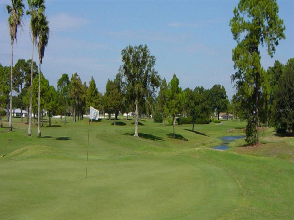 Caesar Avenue Orlando, FL 32833 - Photo 7 of 12 a view of a park with trees