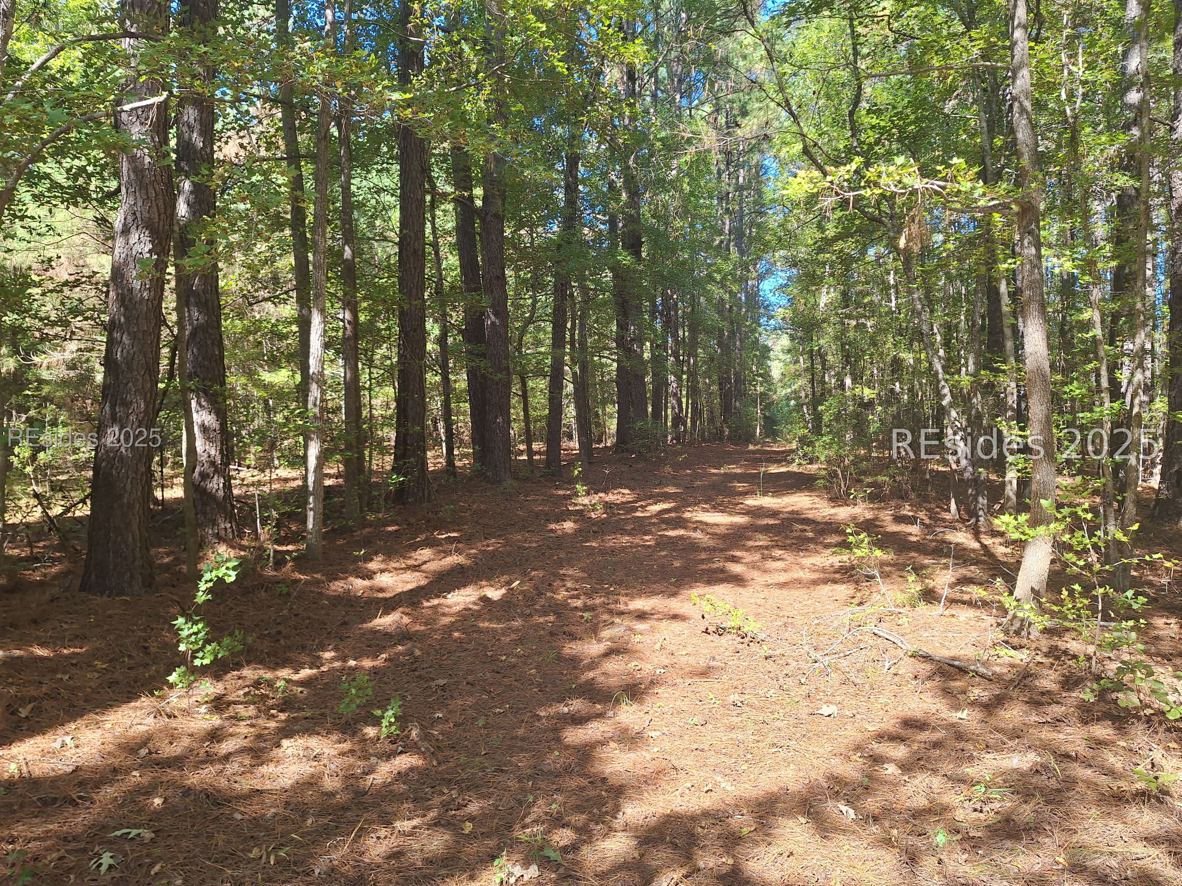 0 Vahalla Way Cottageville, SC 29435 - Photo 4 of 7