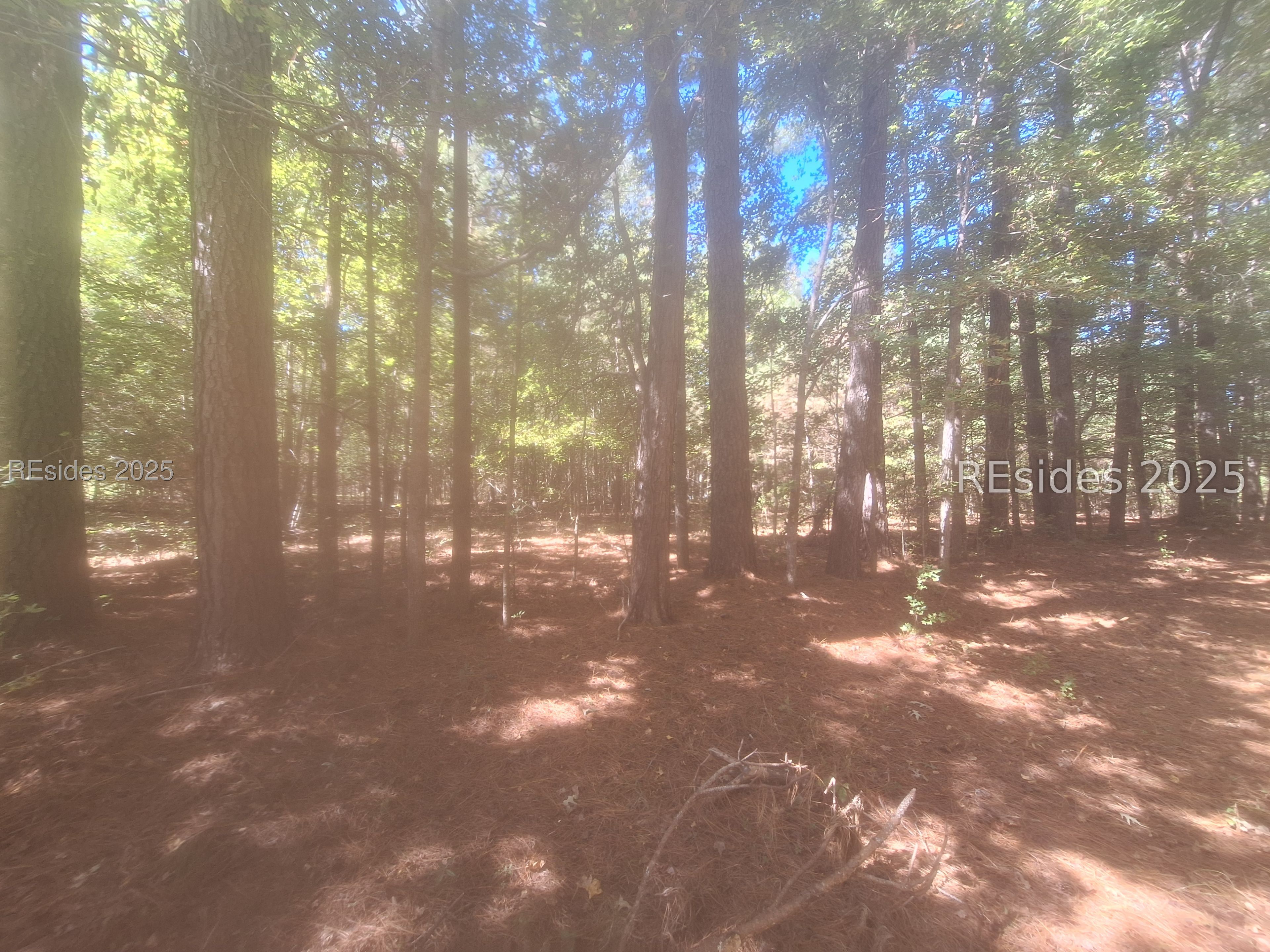 0 Vahalla Way Cottageville, SC 29435 - Photo 6 of 7