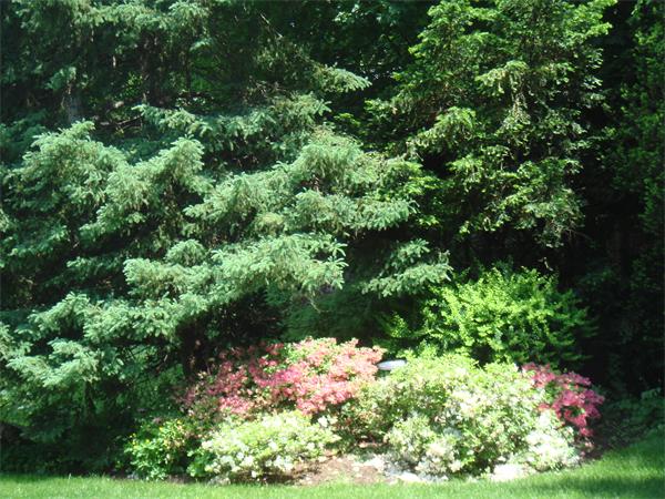12 Sherburne Road Lexington, MA 02421 - Photo 23 of 28