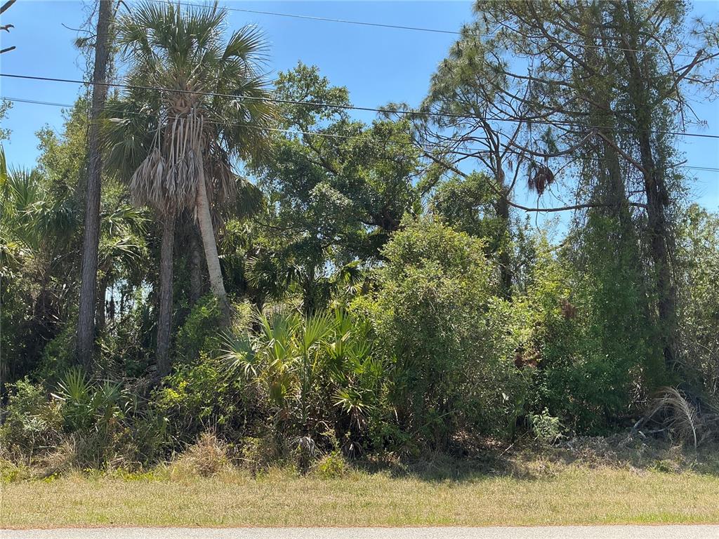 Freedom Ln Port North Port, FL 34286 - Photo 1 of 1