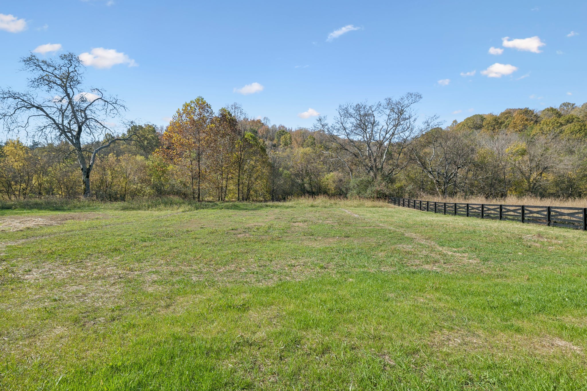 1578 Big Dry Creek Road Pulaski, TN 38478 - Photo 7 of 45 a view of a field with an trees