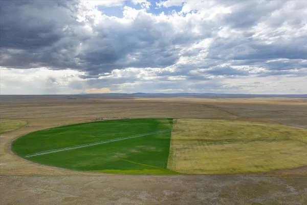 $985,000 | 5798 Road 146 Van Tassell Wy, Van Tassell, WY 82242