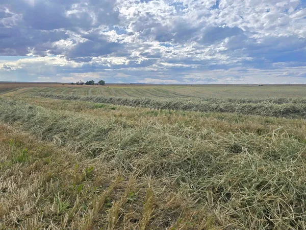 $985,000 | 5798 Road 146 Van Tassell Wy, Van Tassell, WY 82242