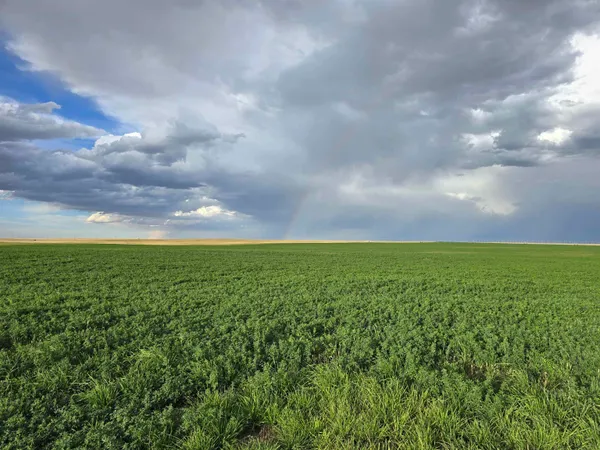 $985,000 | 5798 Road 146 Van Tassell Wy, Van Tassell, WY 82242