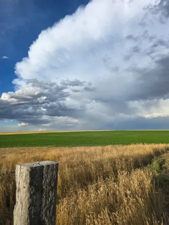 $985,000 | 5798 Road 146 Van Tassell Wy, Van Tassell, WY 82242