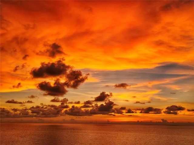 a view of swimming pool with outdoor seating and plants