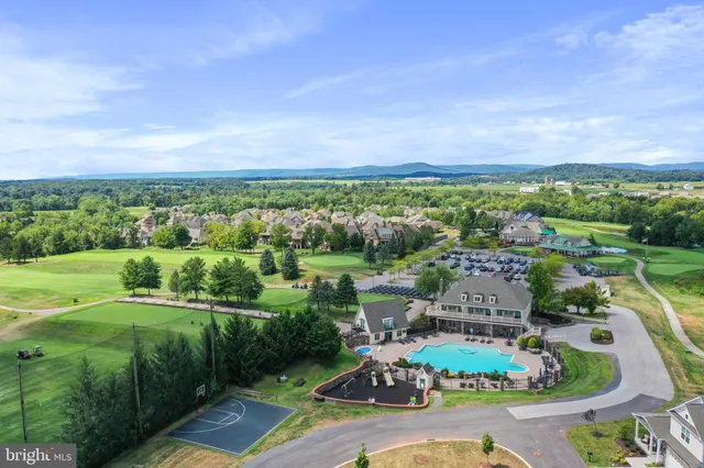a view of a backyard with potted plants and a large tree
