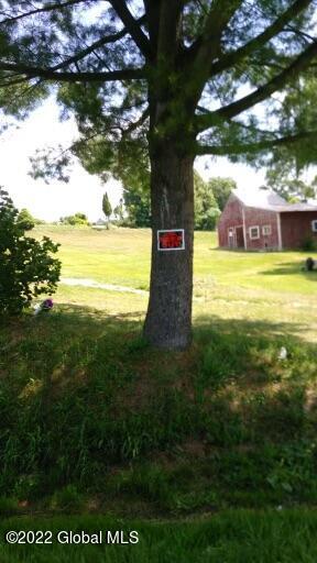 298 Heiser Road Fort Plain, NY 13339 - Photo 3 of 4 thumbnail_IMG_20220712_112700