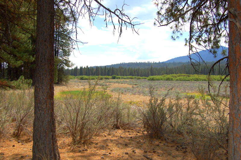 1900 Sprague River Road Chiloquin, OR 97624 - Photo 2 of 17 DSC_2199