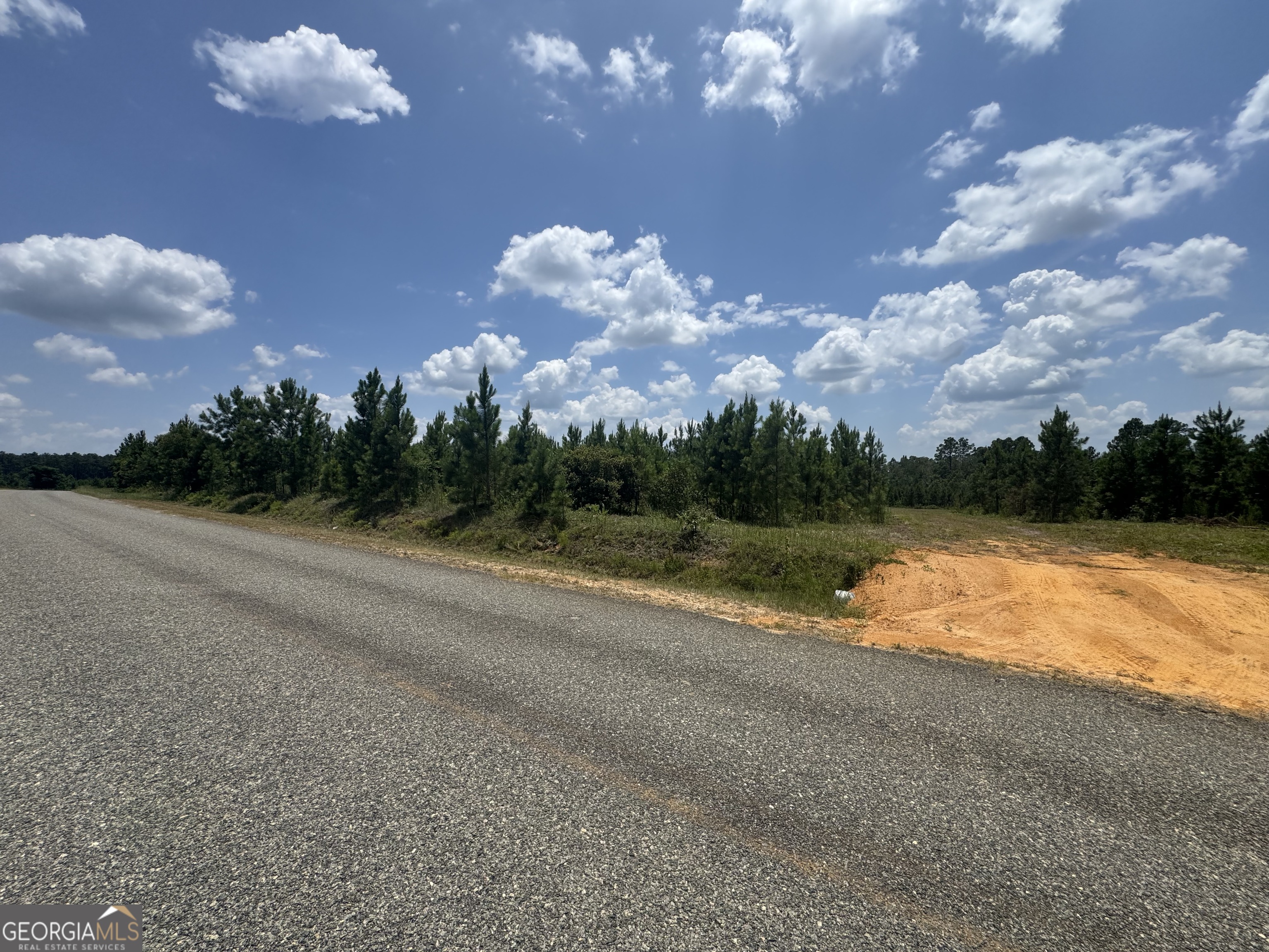 477 Keens Crossing Road East Dublin, GA 31027 - Photo 3 of 12
