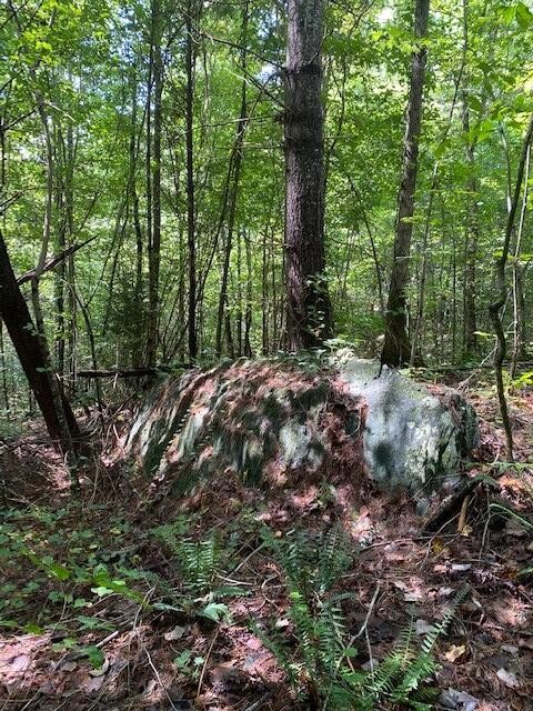 481 Archville Road Reliance, TN 37369 - Photo 6 of 10 Gallery Image 6