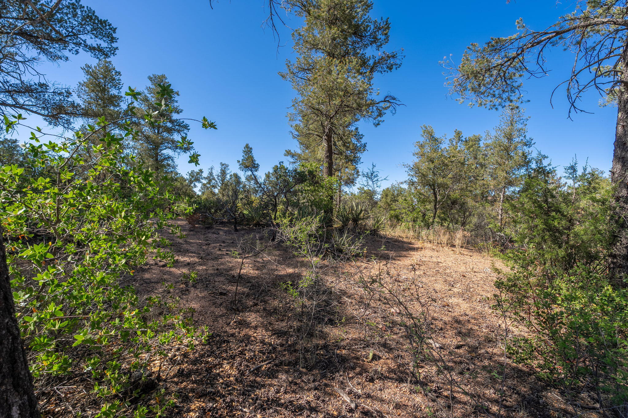 506 South Primeval Payson, AZ 85541 - Photo 40 of 48