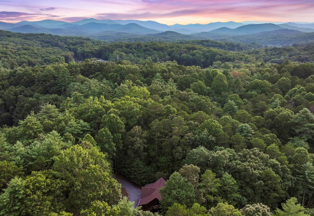 930 Power Dam Road Blue Ridge, GA 30513 - Photo 5 of 64 Gallery Image 5