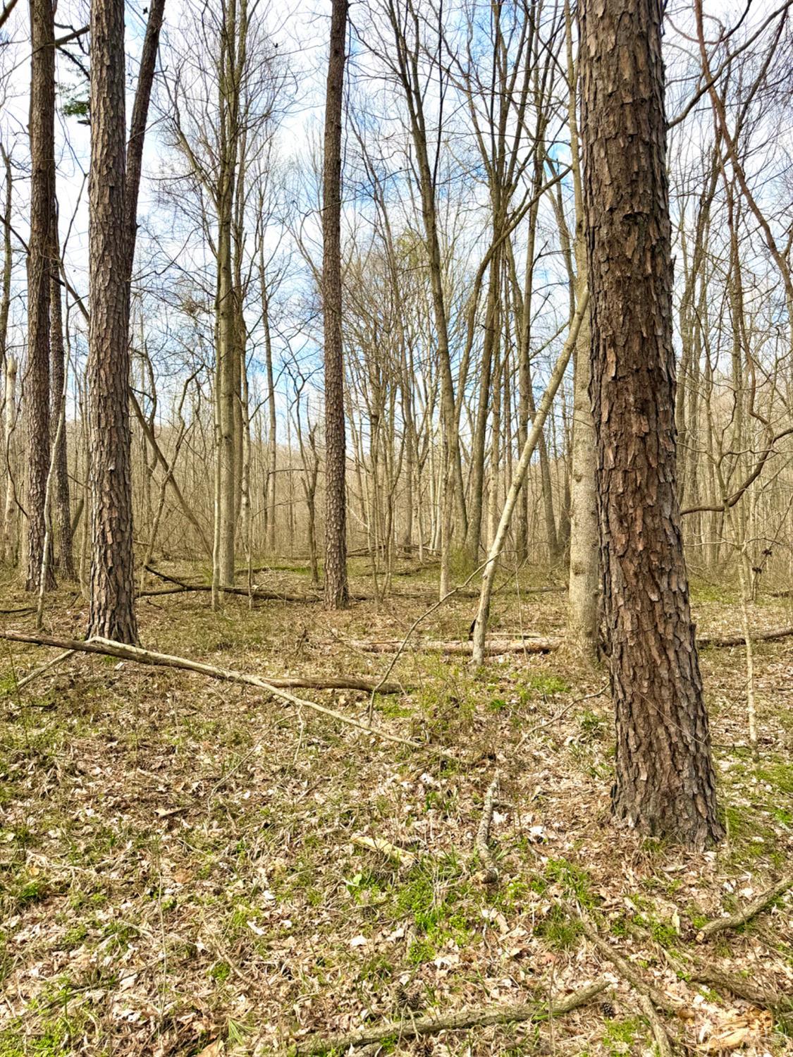 0 Fyffe Hollow Road Chillicothe, OH 45601 - Photo 16 of 96