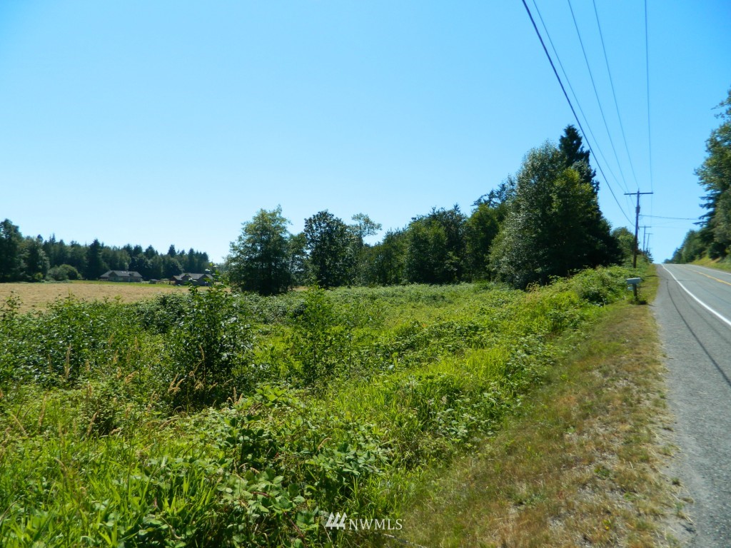 0 Haynie Road Custer, WA 98240 - Photo 4 of 7