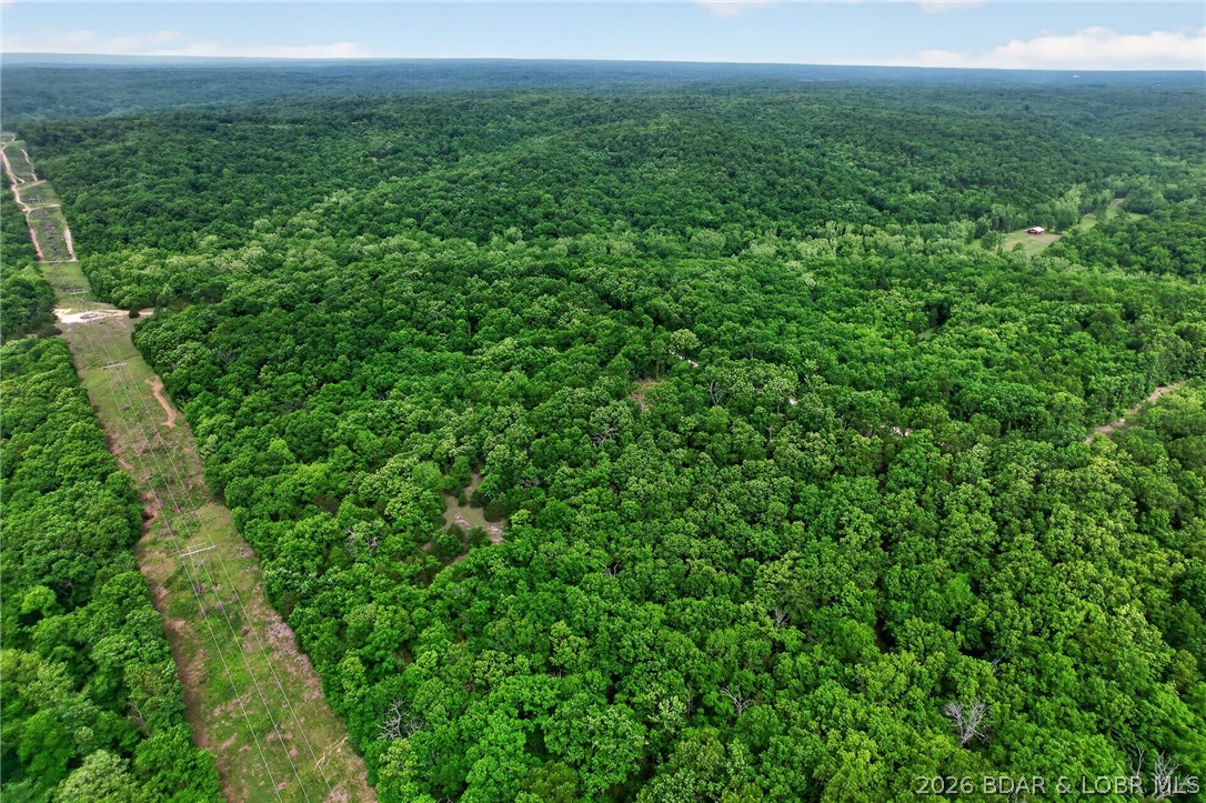 16376 Twisted Tree Road Barnett, MO 65011 - Photo 61 of 65