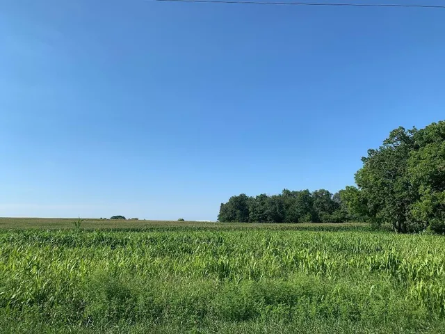 a view of a green field with lots of bushes