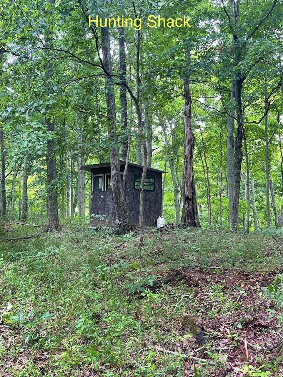 281 Kingdom Road West Hamlin, WV 25571 - Photo 15 of 25 Gallery Image 15