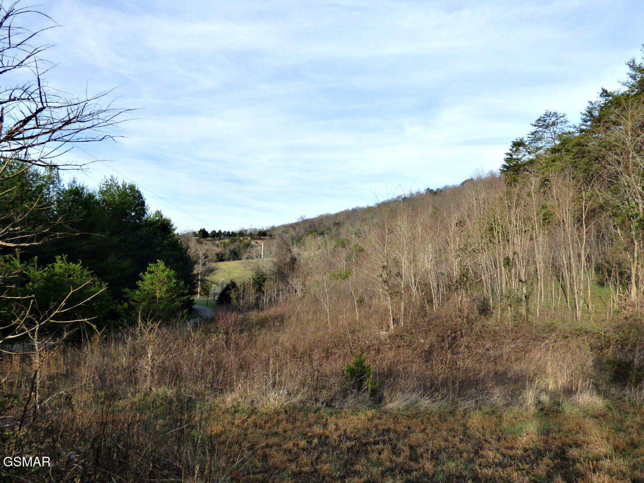 1 Mutton Hollow Road Jefferson City, TN 37760 - Photo 2 of 6 Gallery Image 2
