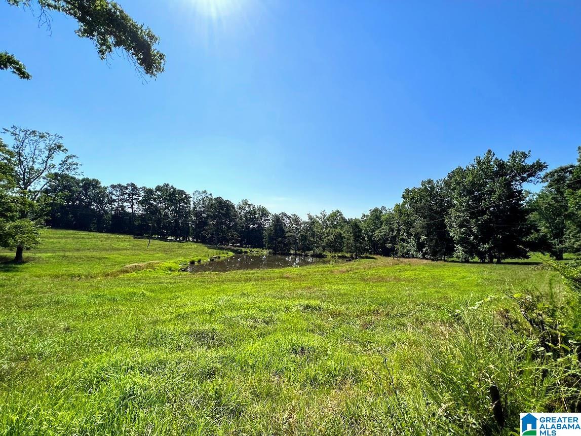 0 County Road 10, Unit X Ranburne, AL 36273 - Photo 22 of 32