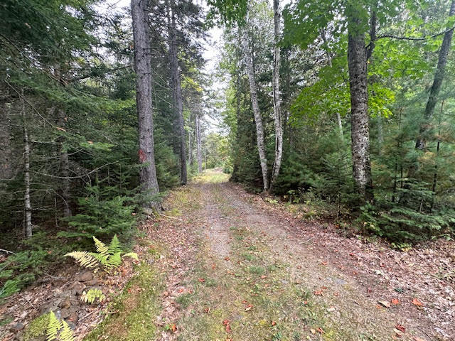212 Rocky Road Northport, ME 04849 - Photo 60 of 81 unnamed (73)