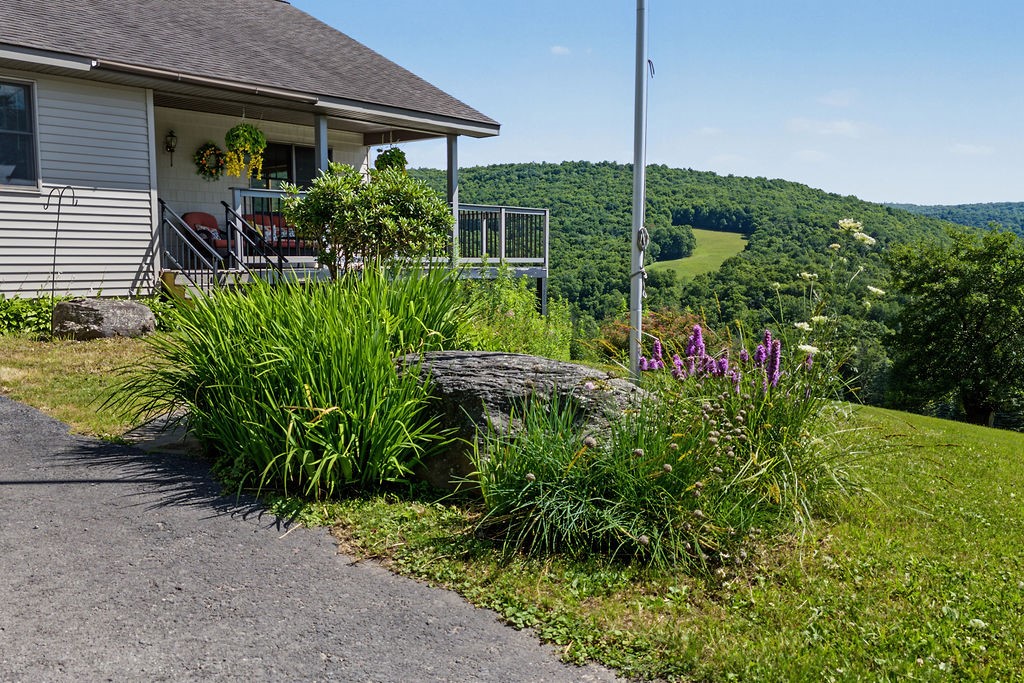 469 Murphy Hill Road Walton, NY 13856 - Photo 42 of 43 Gallery Image 42