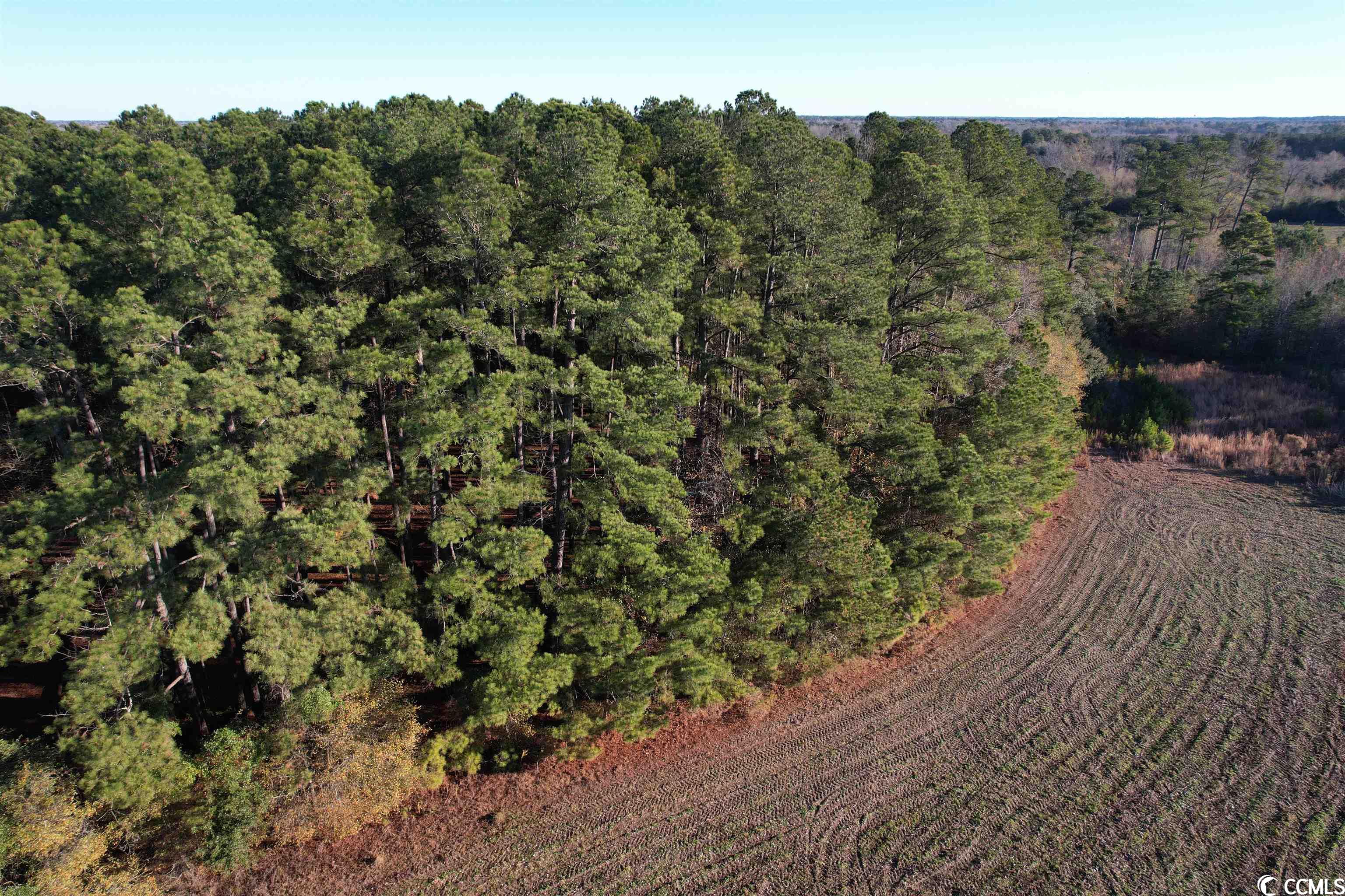 Tbd Tbd Golf Rd Extension Salters, SC 29590 - Photo 2 of 13 Gallery Image 2