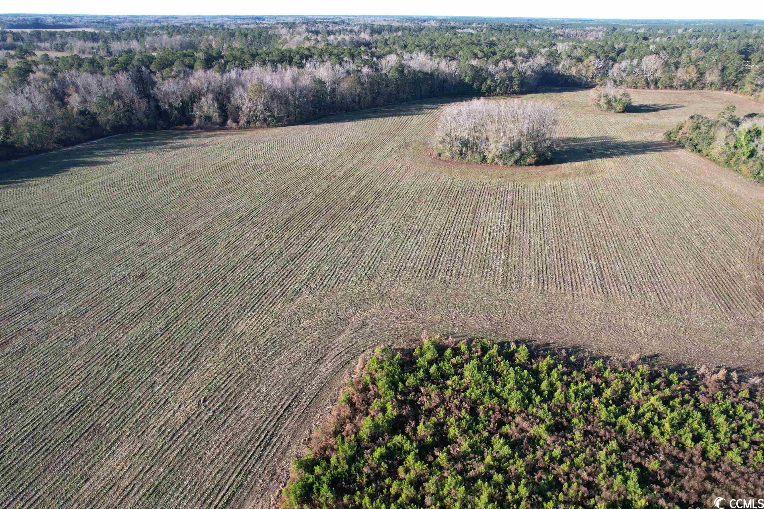 Tbd Tbd Golf Rd Extension Salters, SC 29590 - Photo 4 of 13 Gallery Image 4