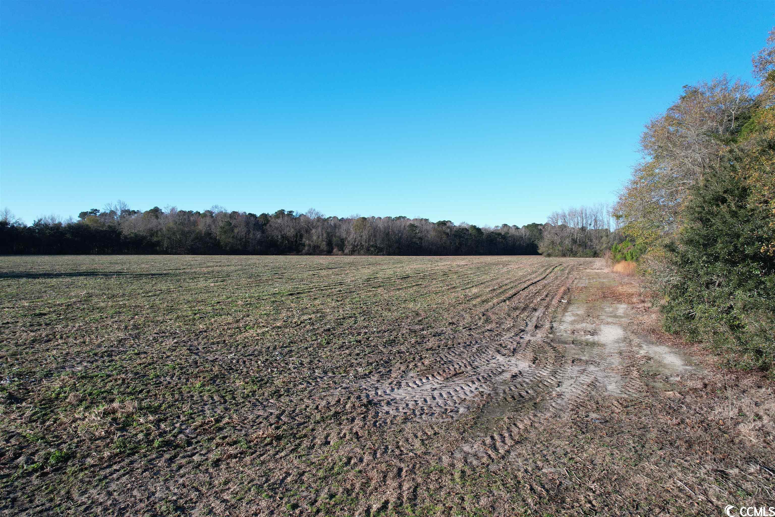 Tbd Tbd Golf Rd Extension Salters, SC 29590 - Photo 7 of 13 Gallery Image 7