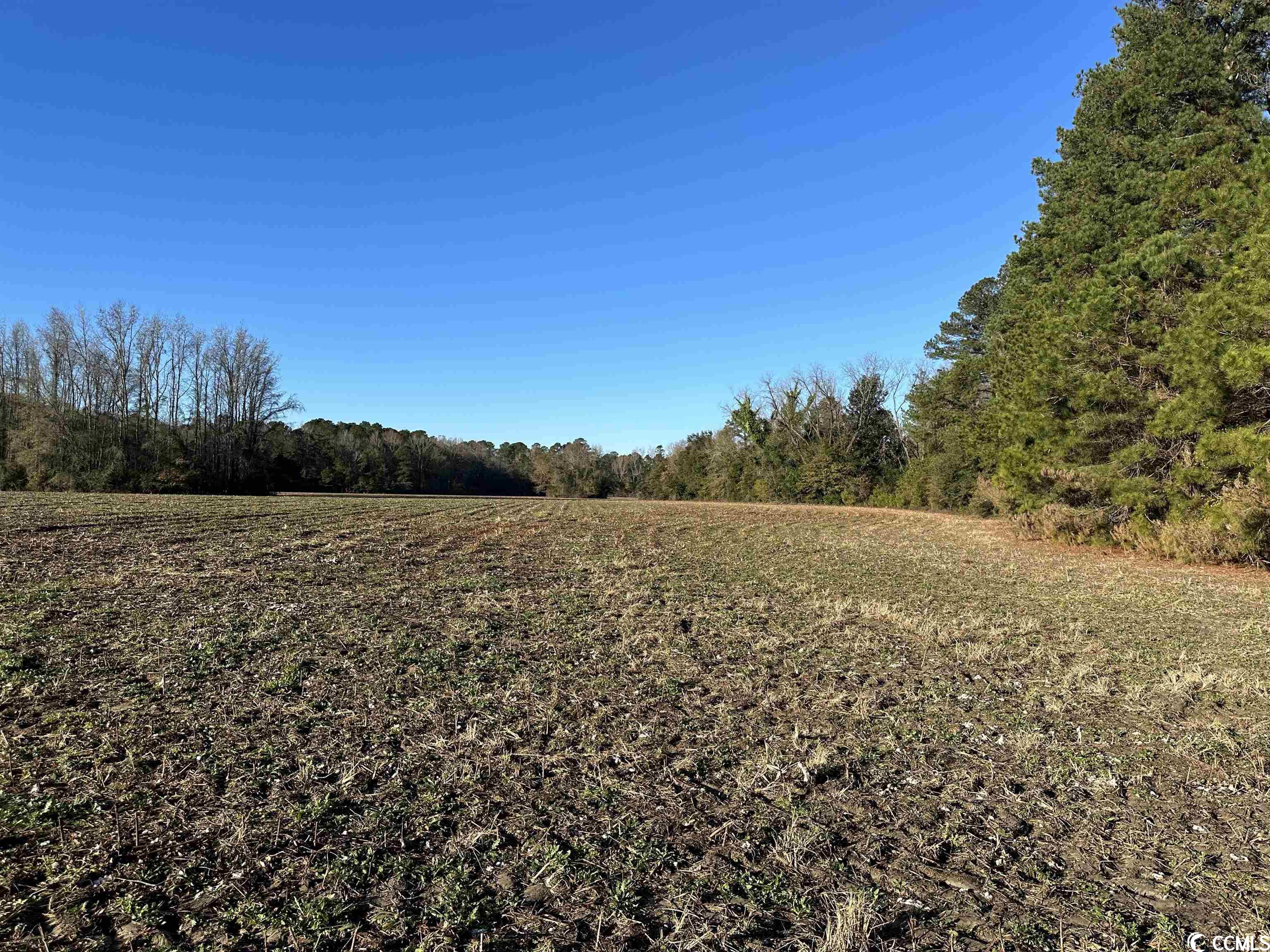 Tbd Tbd Golf Rd Extension Salters, SC 29590 - Photo 8 of 13 Gallery Image 8