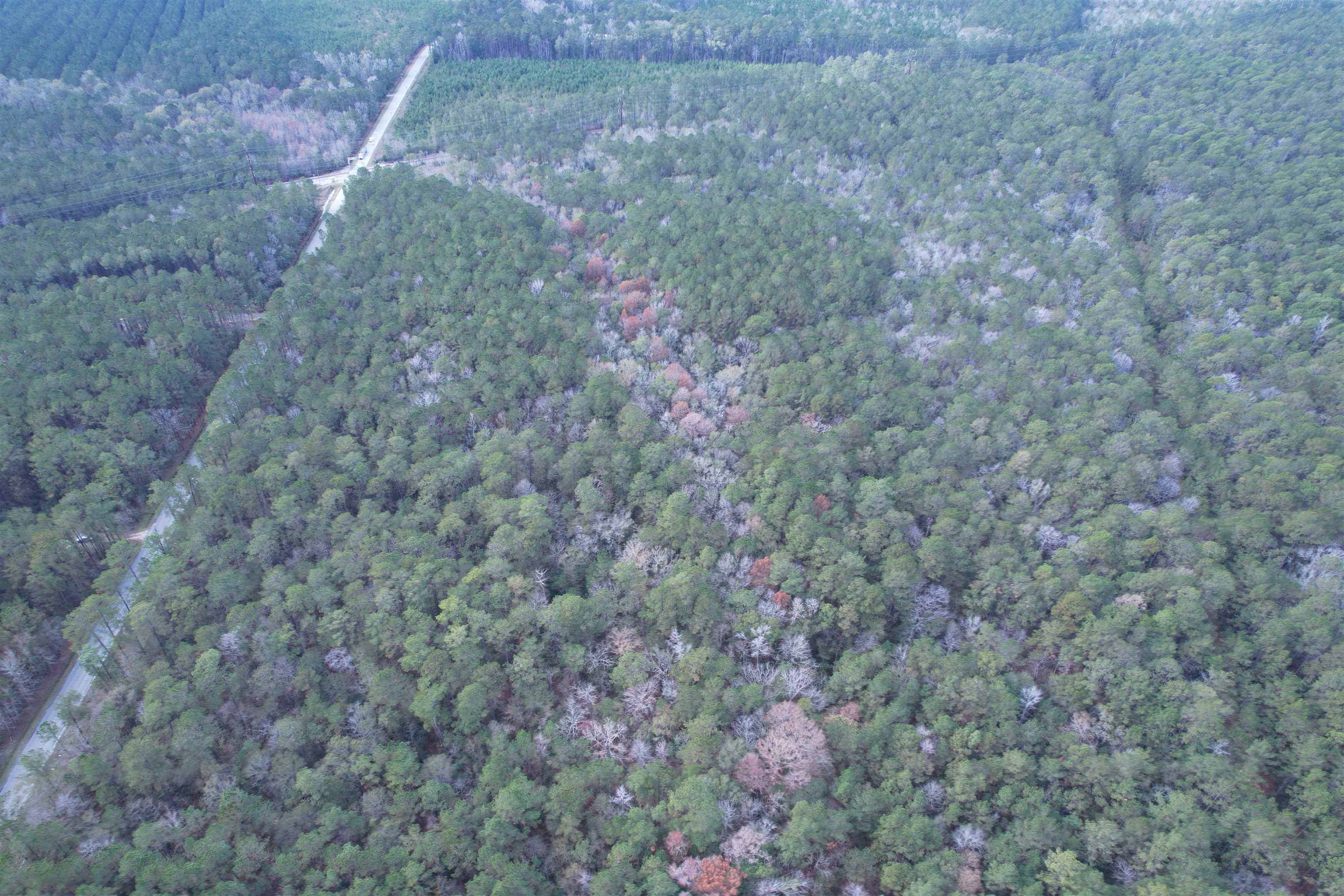 Tract B - Tbd Tract B - Tbd Pennyroyal Road Georgetown, SC 29440 - Photo 11 of 23