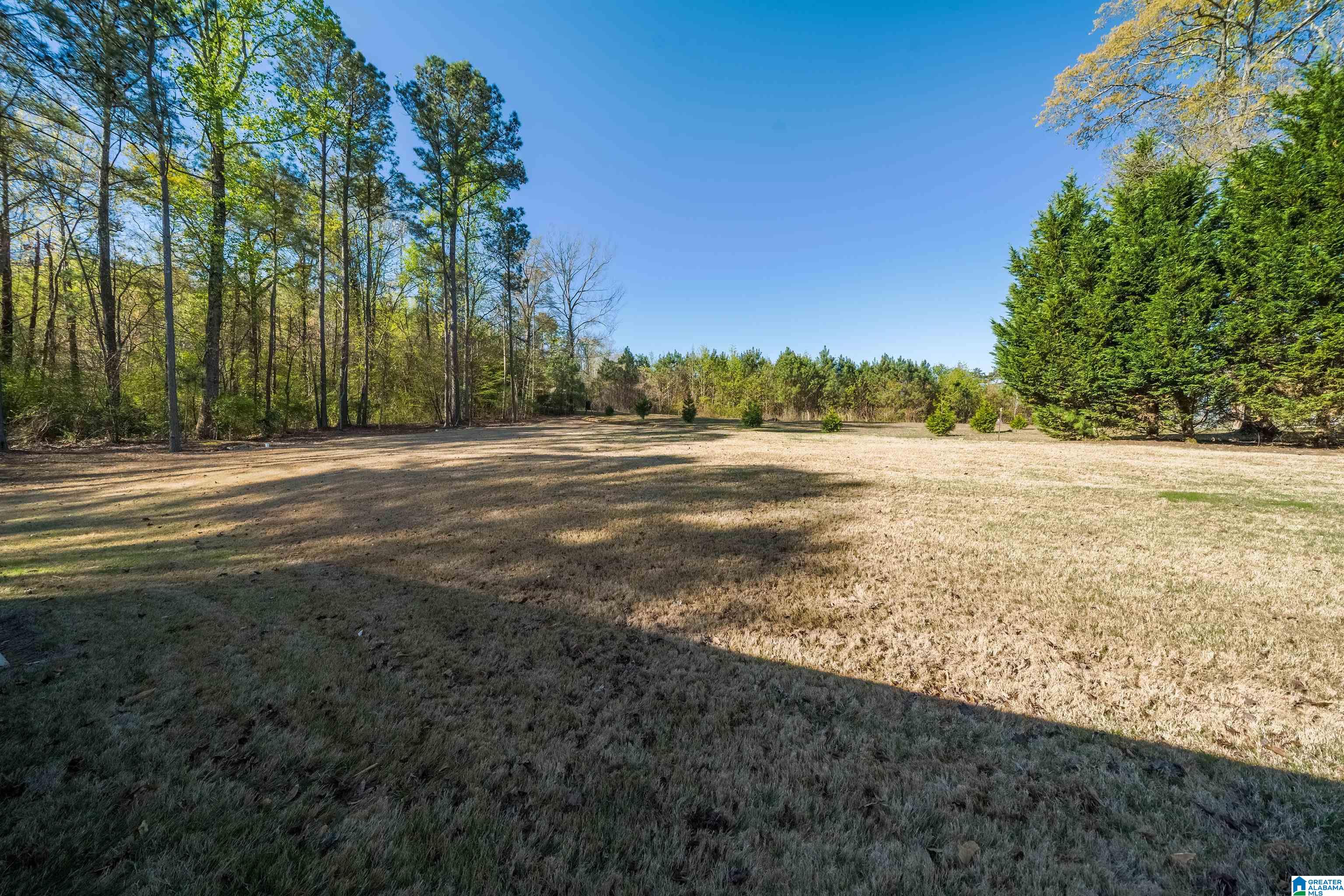 67 Middle Rdg Trail Springville, AL 35146 - Photo 29 of 30