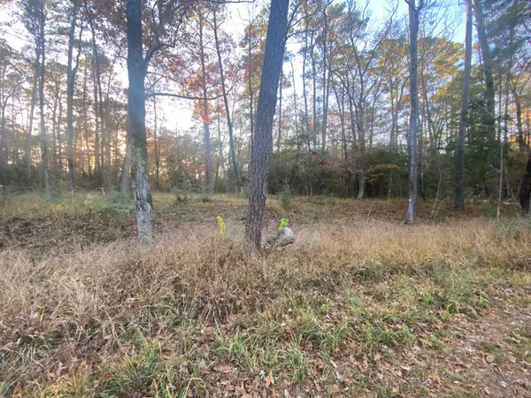 a view of outdoor space and green space
