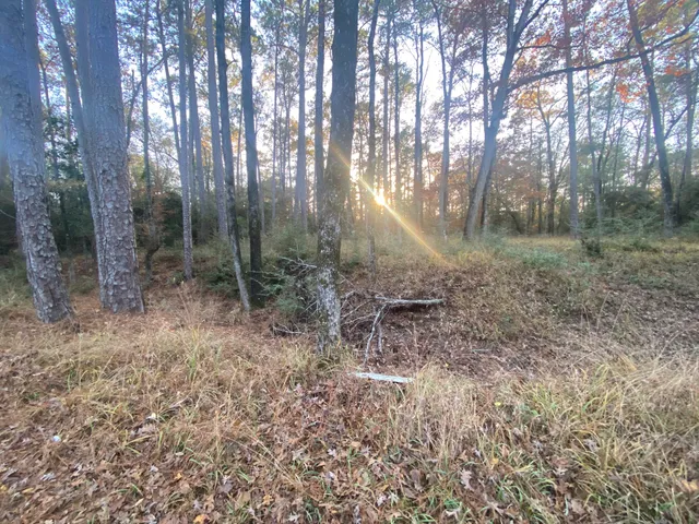 $9,000 | 26721 Pecan Circle, Oakhurst, TX 77359