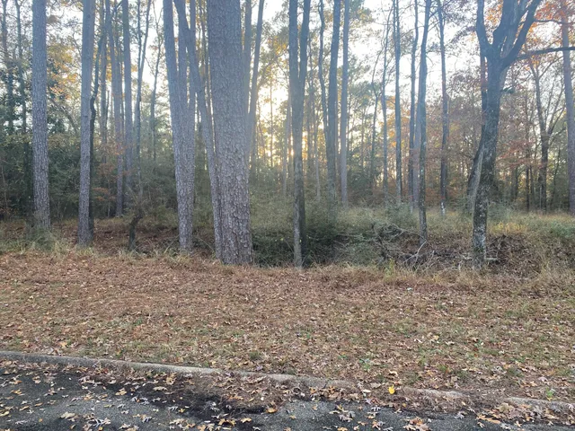 $9,000 | 26721 Pecan Circle, Oakhurst, TX 77359