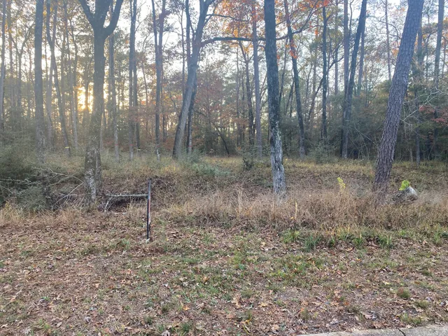 $9,000 | 26721 Pecan Circle, Oakhurst, TX 77359