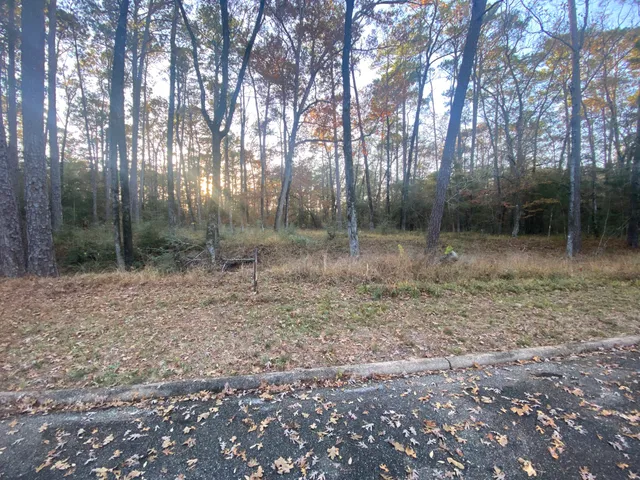 $9,000 | 26721 Pecan Circle, Oakhurst, TX 77359