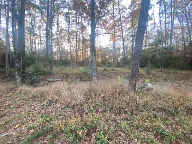 $9,000 | 26721 Pecan Circle, Oakhurst, TX 77359