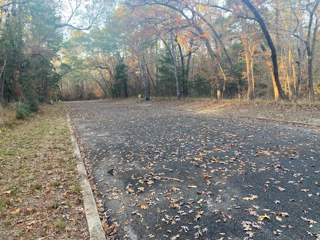 $9,000 | 26721 Pecan Circle, Oakhurst, TX 77359